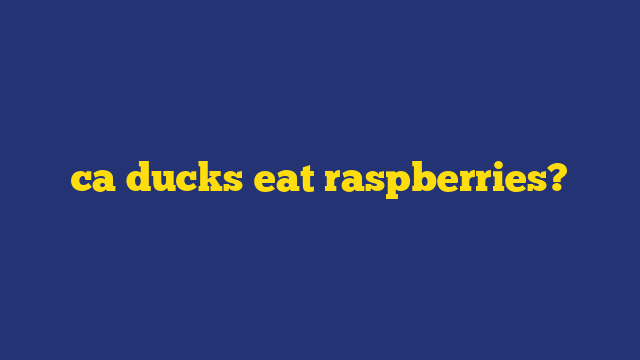 ca ducks eat raspberries?