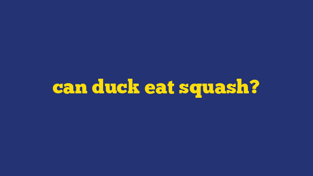 can duck eat squash?