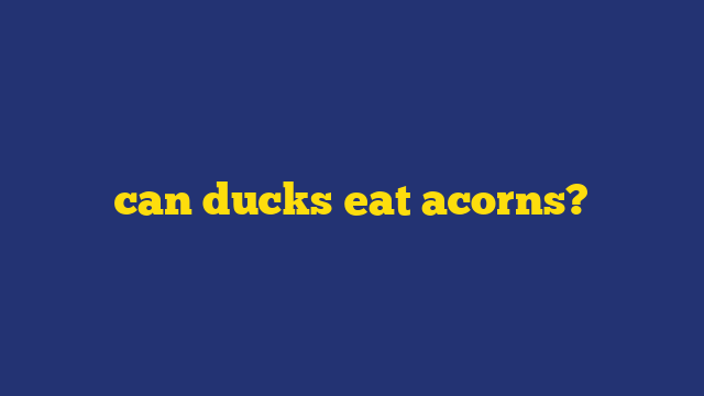 can ducks eat acorns?