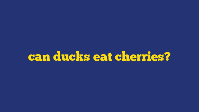 can ducks eat cherries?