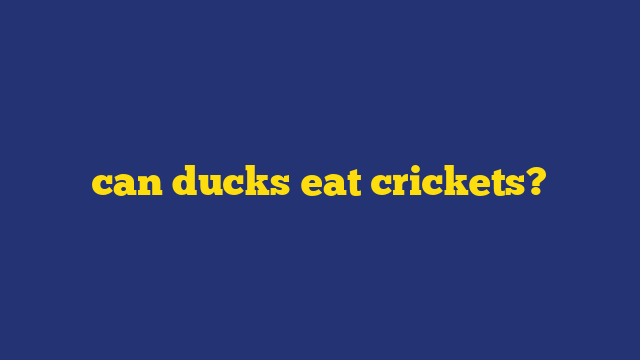 can ducks eat crickets?