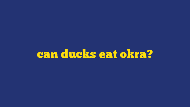 can ducks eat okra?