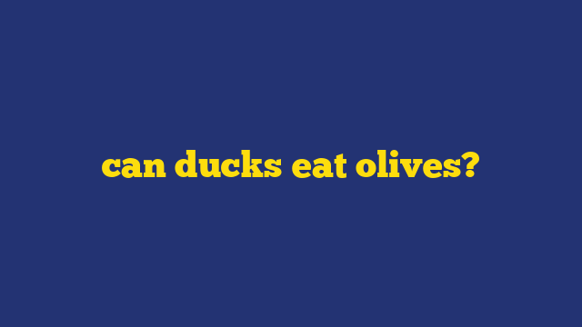 can ducks eat olives?