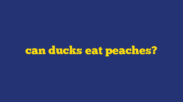 can ducks eat peaches?